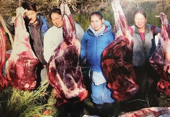 meat curing 
