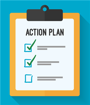action plan