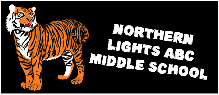 Northern Lights Tiger 