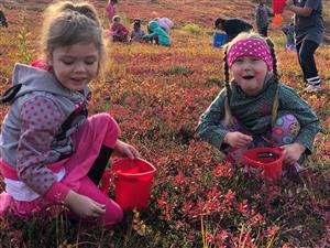 Berry picking field trip.