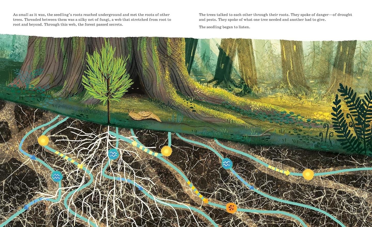 trees3