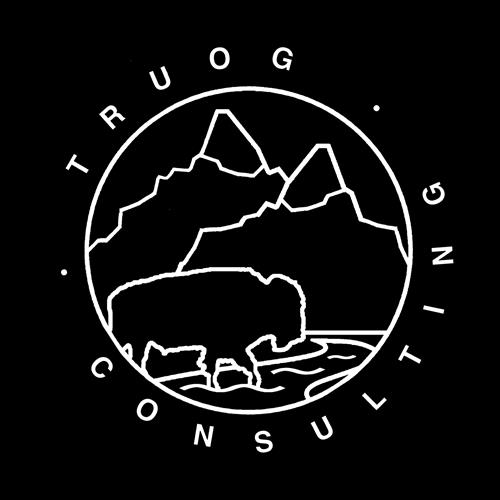 Truog Consulting