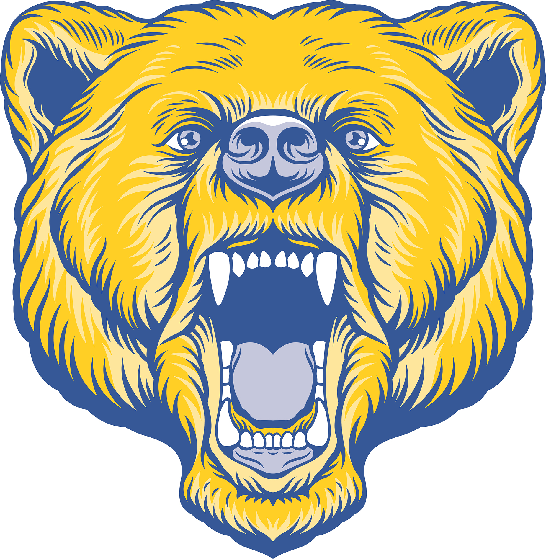 Bartlett high school bartlett high school homepage