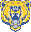 Bartlett High School logo