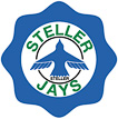 Steller Secondary logo