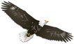 Aurora Elementary logo