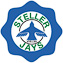 Steller Secondary Fixed Header logo